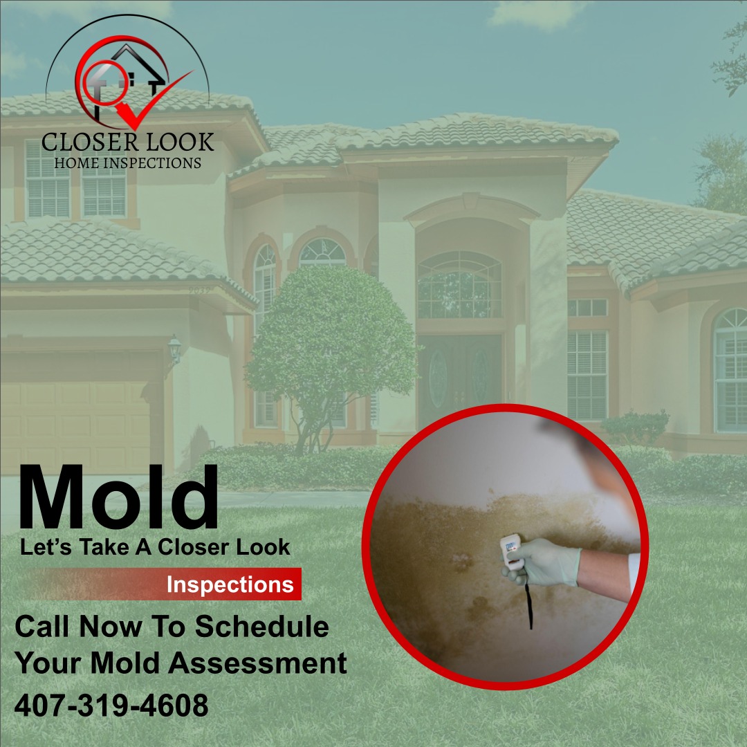 Closer Look Inspections — Orlando Florida