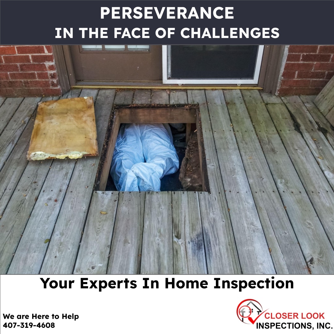 Closer Look Inspections — Orlando Florida