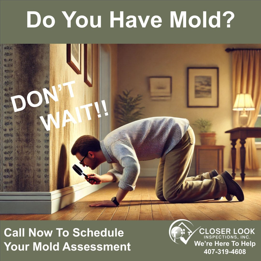 Closer Look Inspections — Orlando Florida